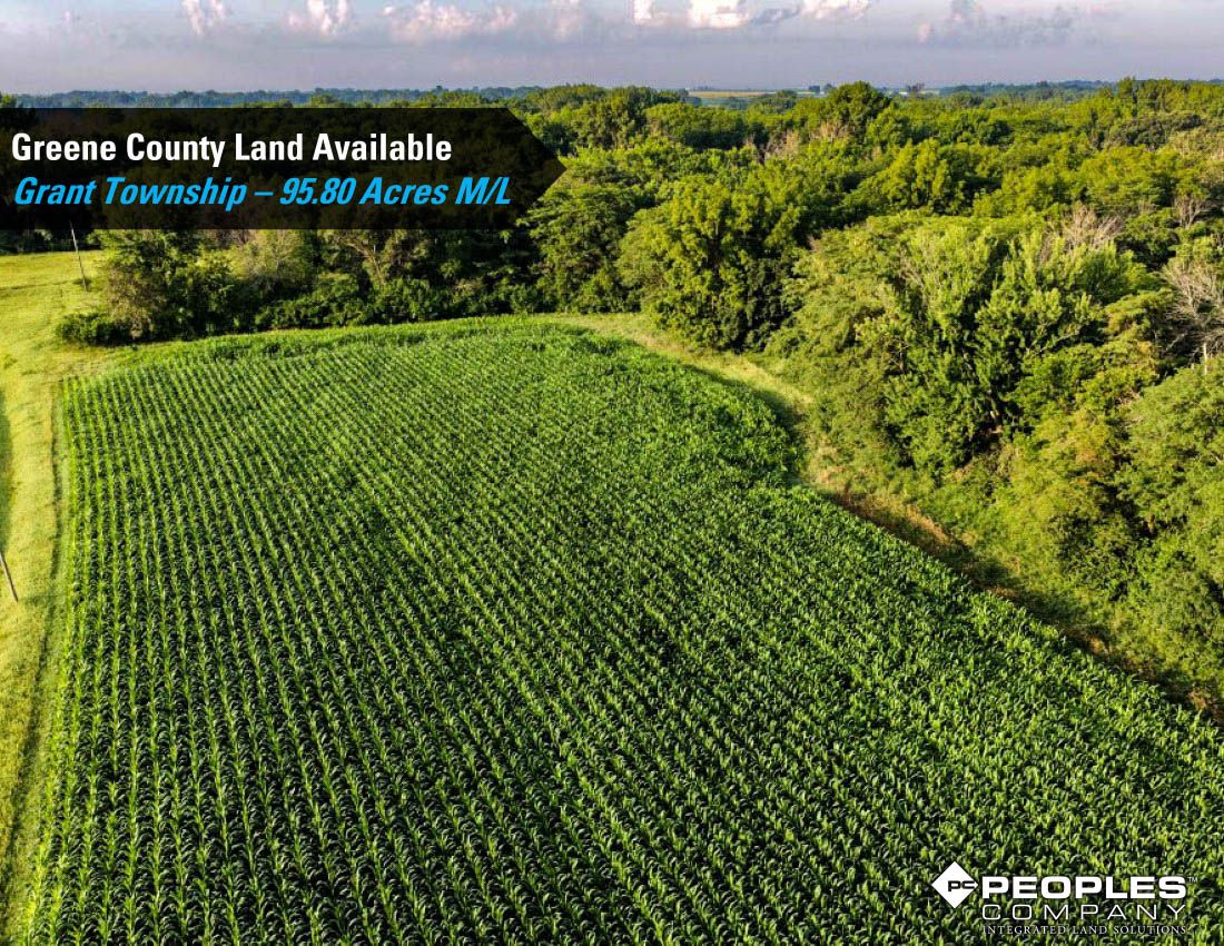 Listing Photo: Greene-Co-Rec-Land-Available-95-Acres-19559 (18)